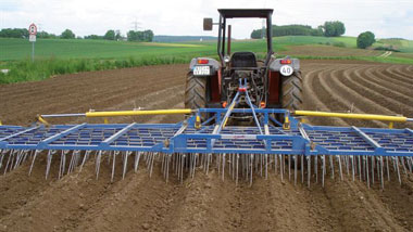 Herse étrille dans une culture de pommes de terre