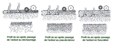 Actisol profils