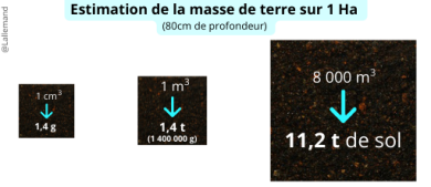 Estimation de la masse de terre sur 1 ha