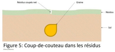 Résidus coupés par le semoir