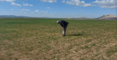 Sécheresse en Algérie - le non labour peine à se développer