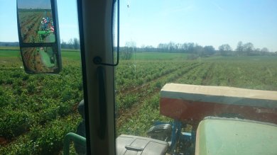 Semis au strip till intégral après passage du STL