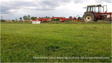 Récolte des excédents avec le matériel à disposition