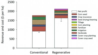 Recettes et coûts - comparaison agriculture régénérative et conventionnelle - USA