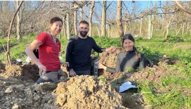 En production de kiwis dans les Pyrénées Orientales