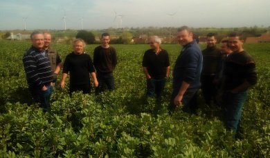 La Cuma des Mimosas accueillit par la Cuma de Piacé.