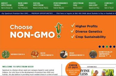 Semences non OGM