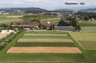 Vue aérienne du site d'Oberacker, Suisse