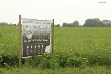 Campagne CIPAN grand public