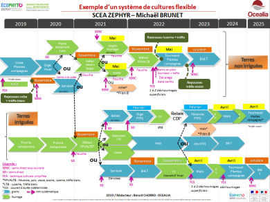 Exemple d'un système de culture flexible