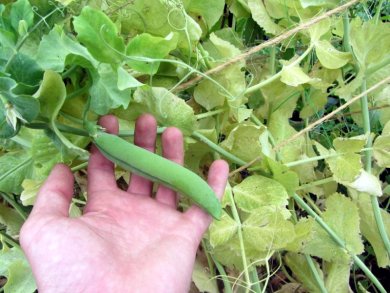 J3C Agri - Boust+