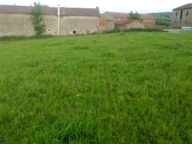 Aitchison GrassFarmer : sursemis d'une prairie permanente