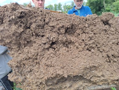 Le mini profil de sol 3D sous maïs