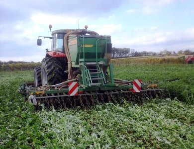 Semis direct de blé sur couvert de féverole (semoir Simtech - GAEC Babarit) 
