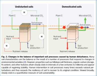 Illustration sol naturel non pertubé et sol travaillé et non couvert