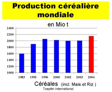 prodution céréales 2004 (horsch)