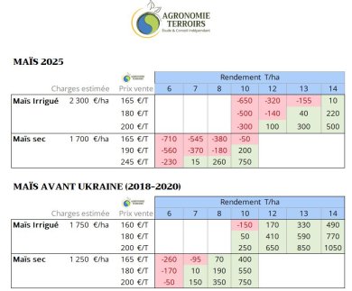 Comparaison maïs d'avant la guerre en Ukraine et maïs 2025