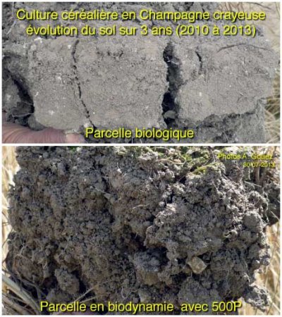 Sol en biodynamie vs sol en biologique