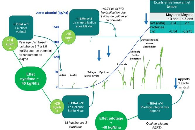 Quantification des économies d'azote minéral apporté sur blé dur innovant au regard de la courbe théorique des besoins en azote